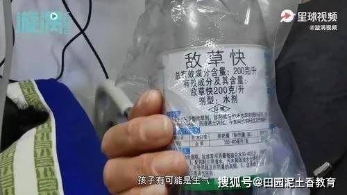 葫芦岛14岁单亲女孩喝农药轻生：因爸爸电话成空