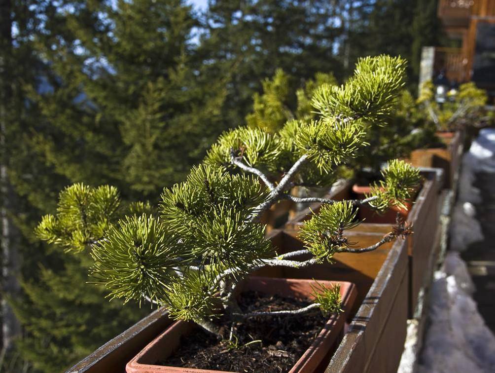 什么是庄稼地好朋友 cb83af0df92f487797bfe5952bb2a052.jpeg