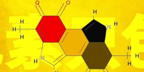 世界人口多种类_世界人口特别多图片