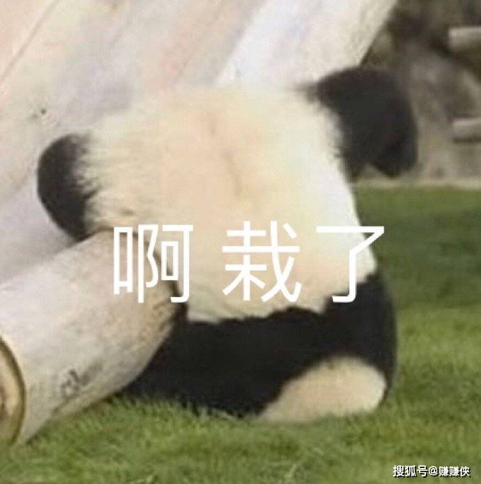 搞笑表情包图片:不管你笑不笑,我反正是笑了