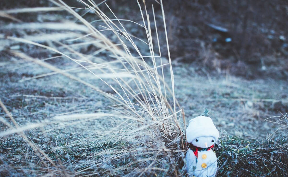 在农村,人们常说"寒风迎大雪,三九天气暖",这是什么意思?