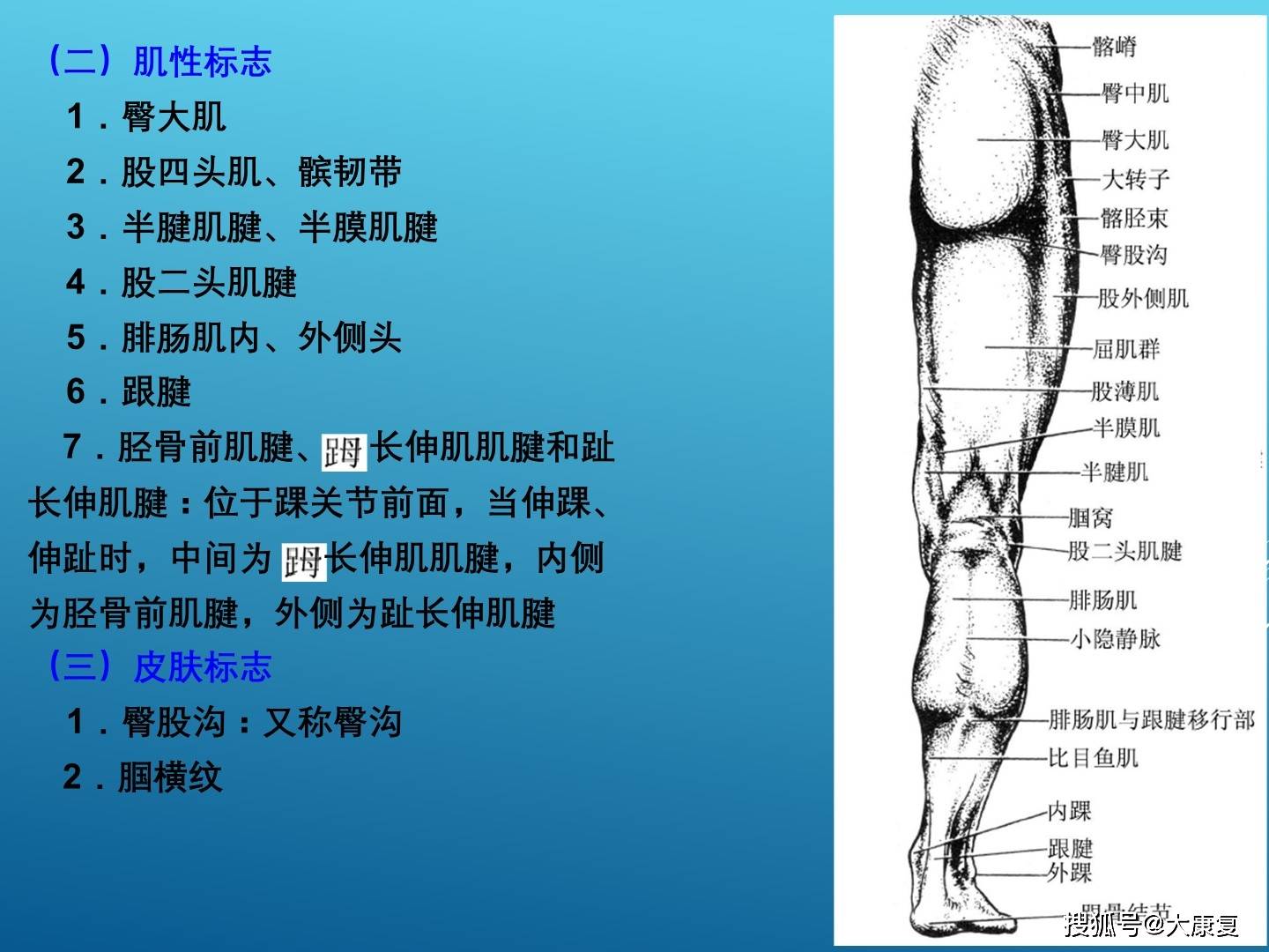 康复评估体表标志