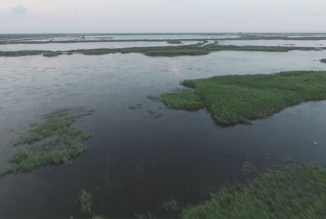 自己怎么做鱼塘 12e69d5a845946699ebb36c50daf43a0.png