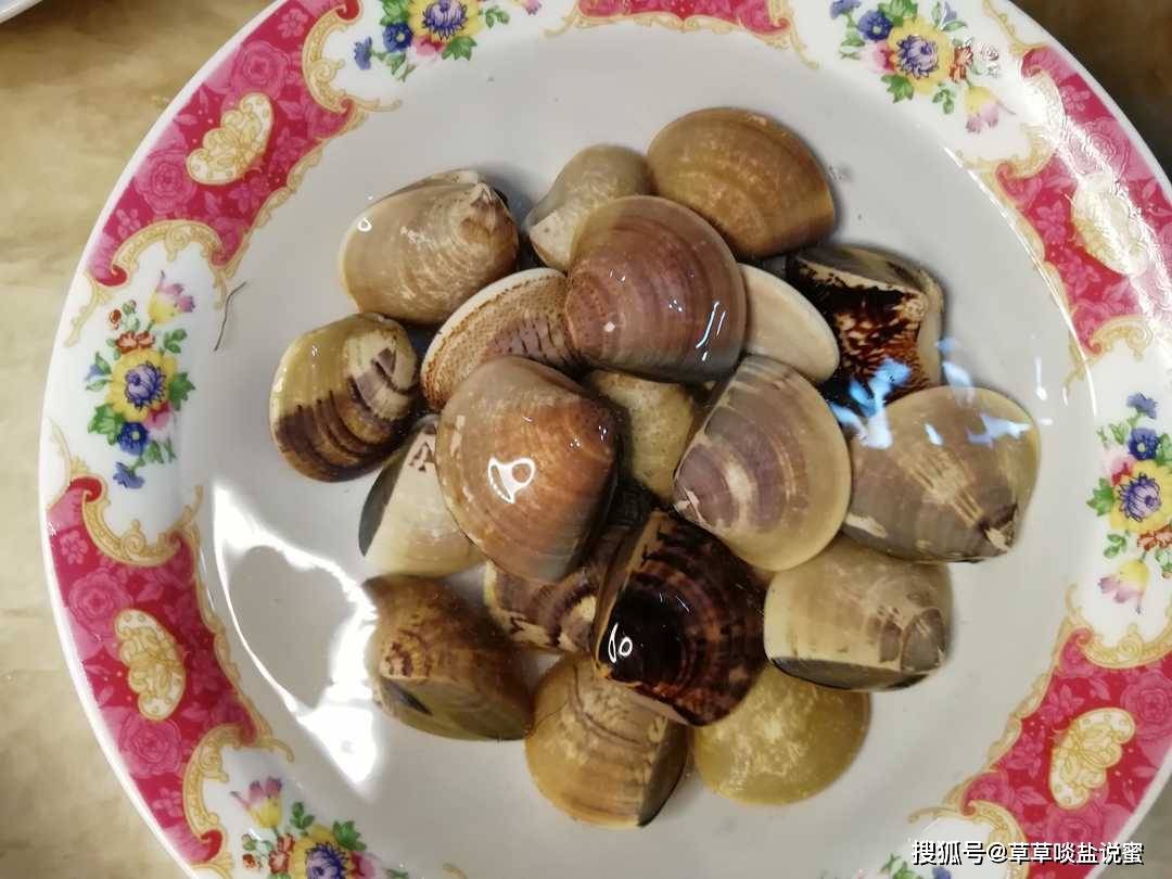 原创海蚌炖蛋,家常做法,蛋嫩蚌鲜,好吃又简单