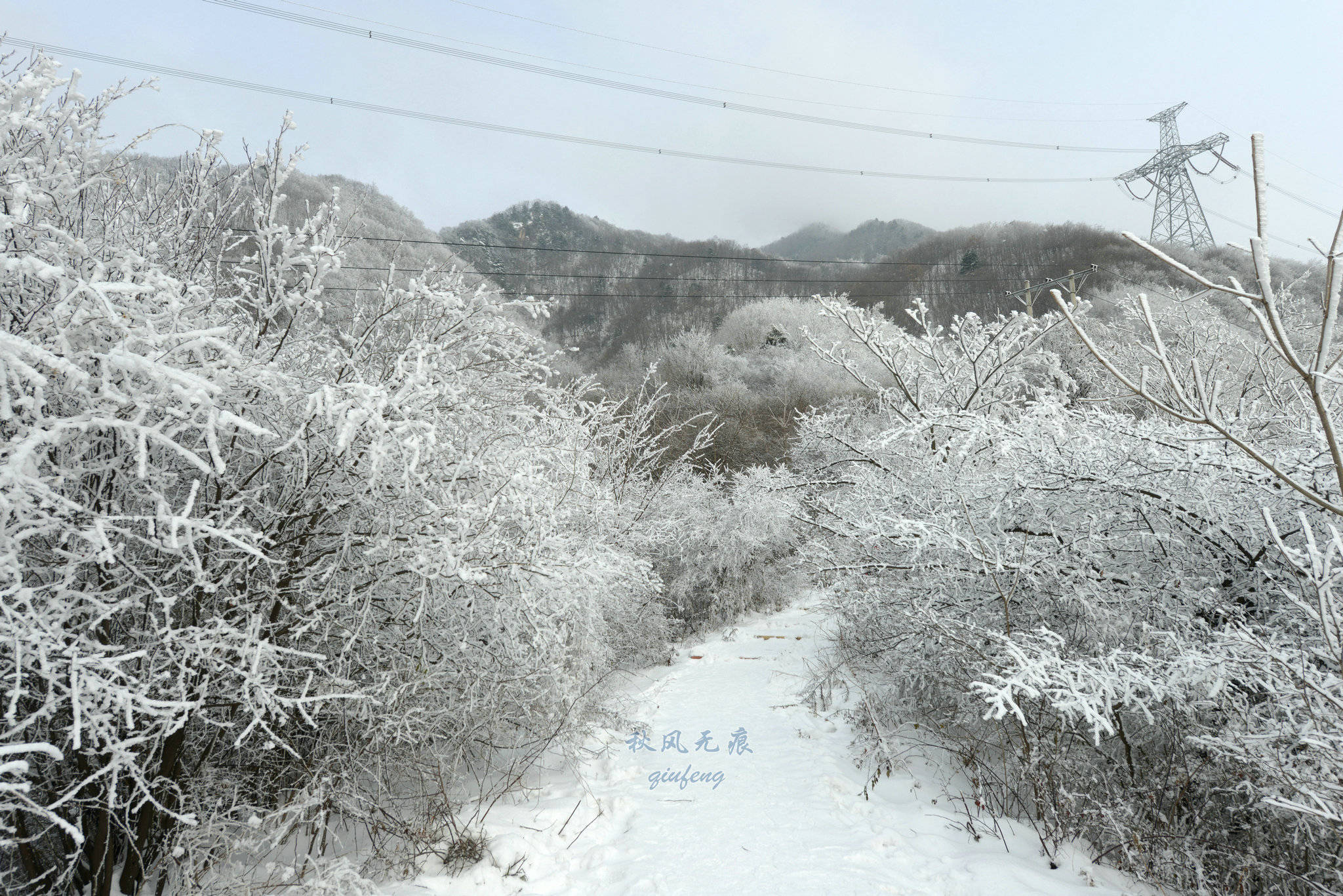 乘坐绿皮慢车,寻觅秦岭之巅那片银装素裹的宝鸡大雪幻境_雪景