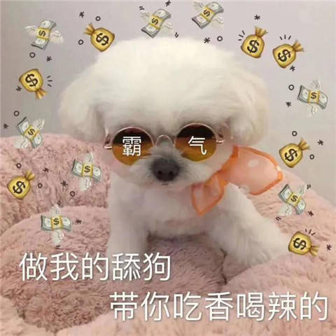 舔狗是谁提出来的 e58d6adbaf984d53b05680db5c9d05c0.jpeg