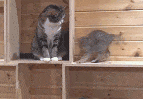 搞笑gif段子:妹子:还好我反应快,差点被你小子占了便宜