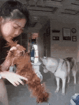 搞笑gif段子:让你们嘚瑟