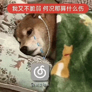 年度流行梗大盘点,知道5个你就赢了!