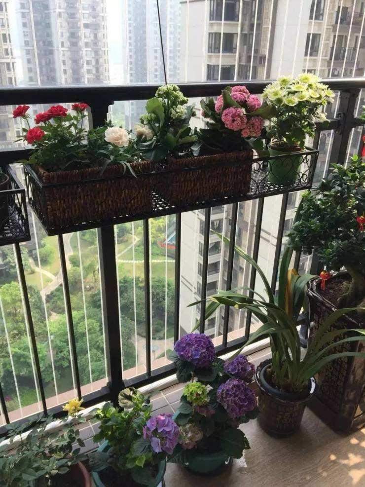 怎样改造阳台养盆景 1026674689c24bf4ae62145ecb4a6eea.jpeg