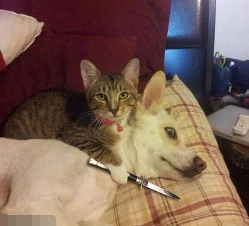 啥时候才能不忙 d5d81b9f8a284a43853ce07612a87a01.jpeg