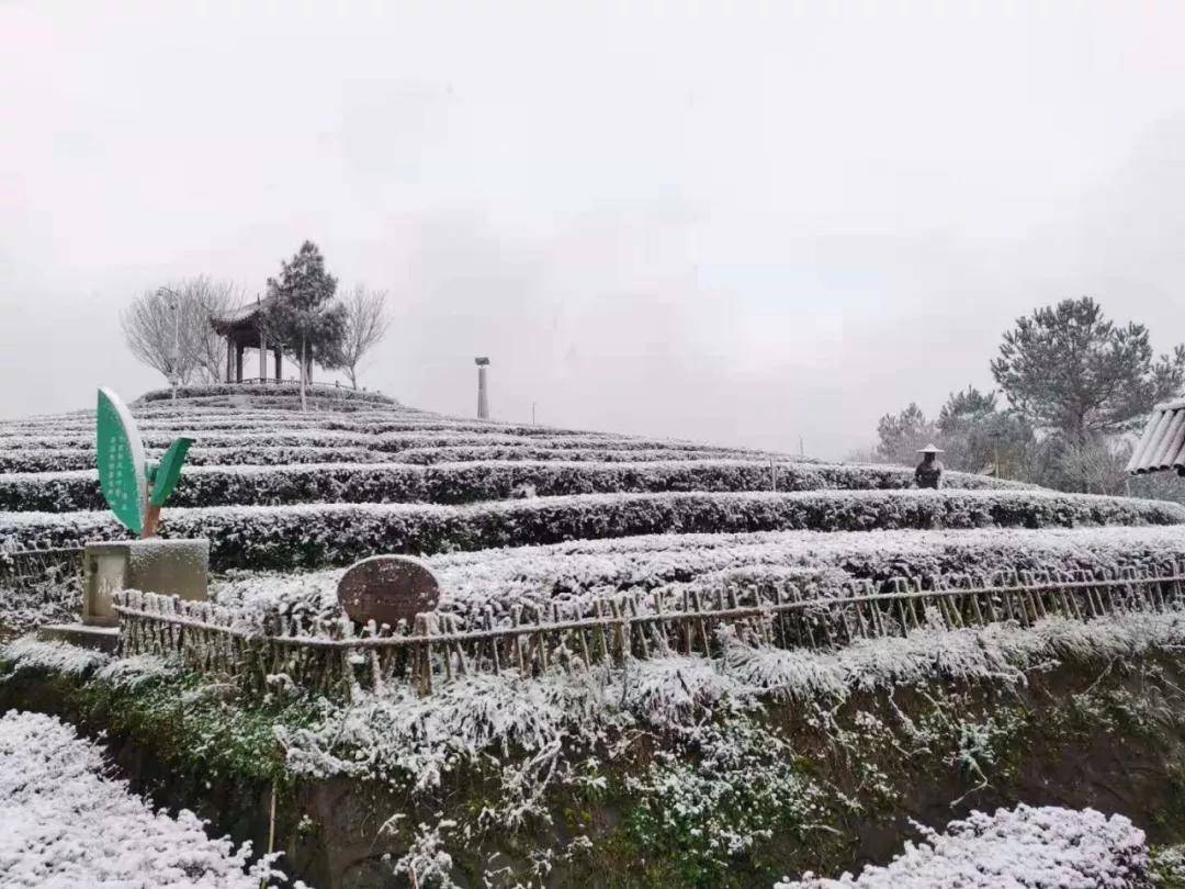 平昌县城区人口_雄起 四川这11个区 县被国家点名了 快来看看有没有你家乡