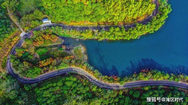 gdp753_中国gdp增长图(3)