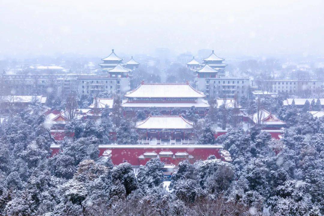 大雪过后我建议你一定去北京看看