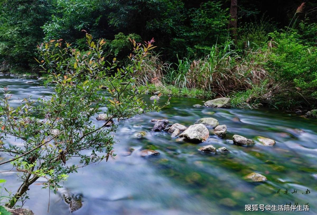 县城简谱_儿歌简谱