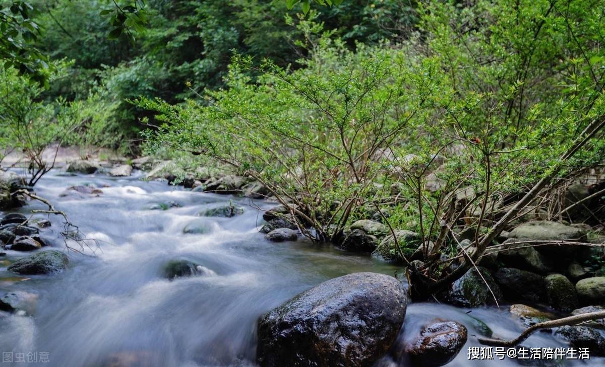 县城简谱_儿歌简谱