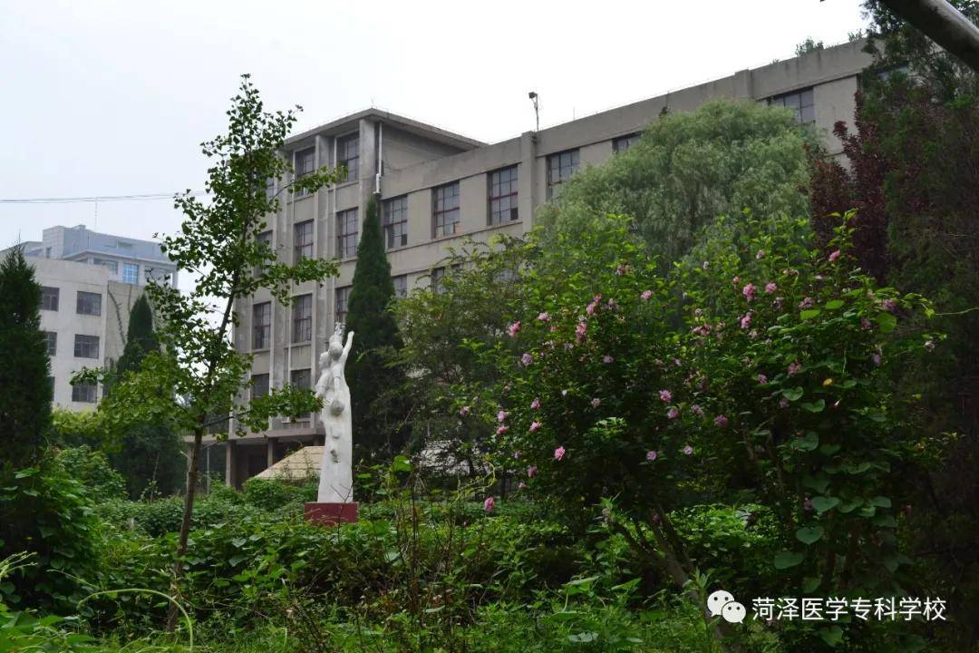 菏医70年记忆中的曹州路老校区今天的大学路校区