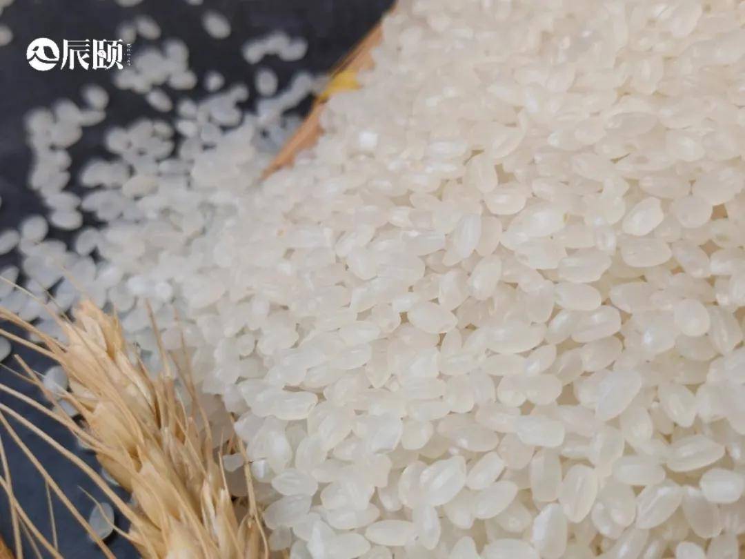 辰颐物语东北珍珠米——米粒饱满,软糯可口,让你吃出幸福感