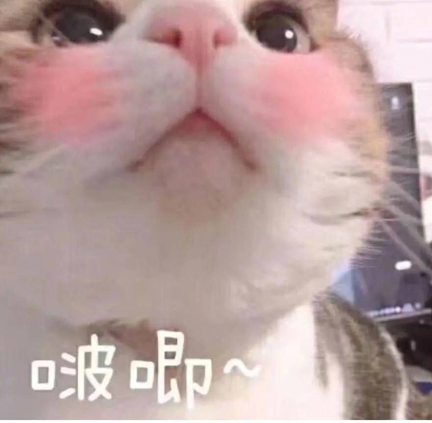 30dd114300734e178d2a517d13a4e4d8.jpeg