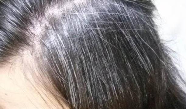 431b60cb08404d9180cff17e00ca6eba.jpeg