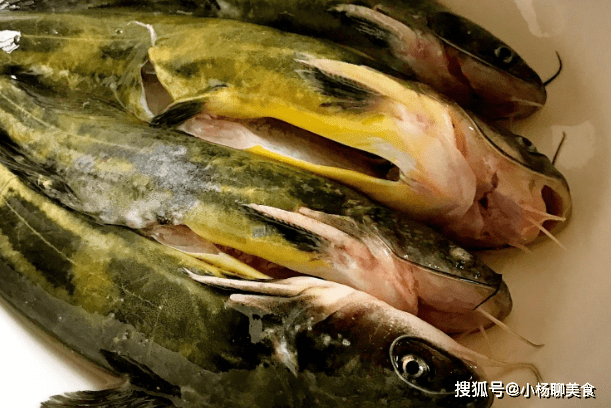 老人口多粘液_宫颈粘液栓图片