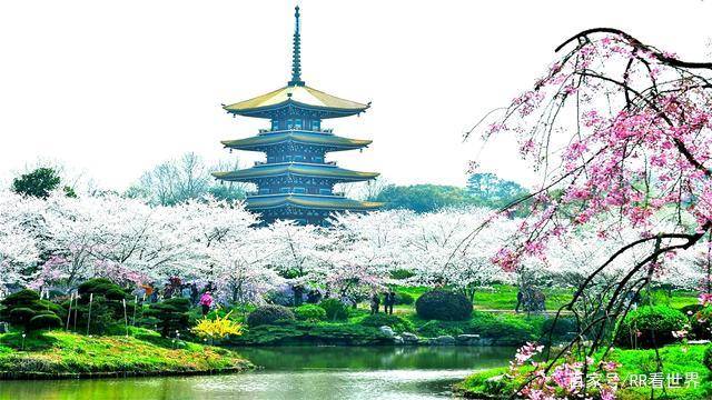 全国省会面积排名_全国省会城市2019年度GDP排名广州第一成都第二拉萨