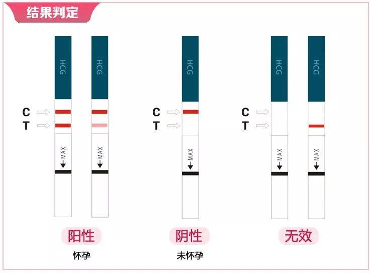 早孕试纸不能检测孕囊的大小和位置.