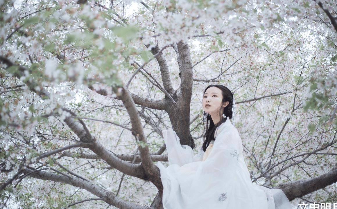 什么俗和光成语_成语故事图片(2)