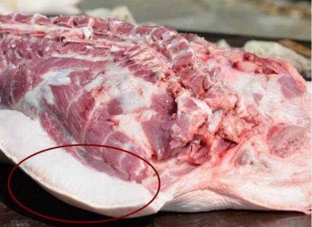 品质最好的猪肉 945bc67dafc14b88986bb83f74c71ade.jpeg