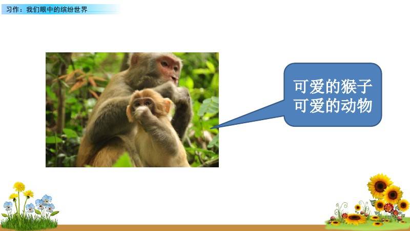 文章配图-8