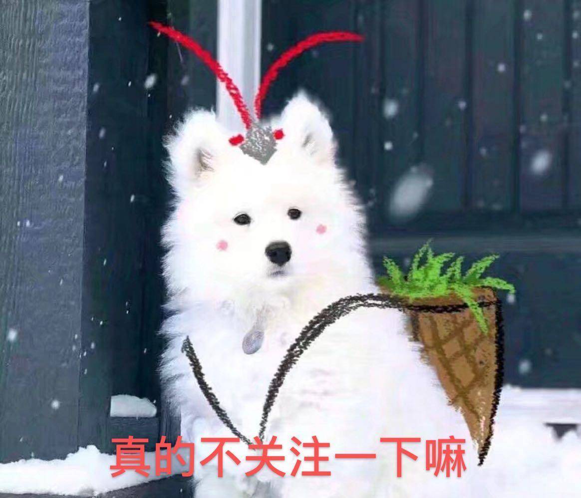a9ab26e229b14dbe985d0335d828ac7f.jpeg