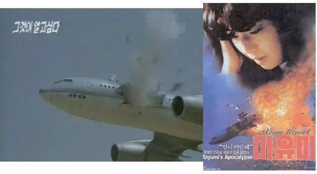 1987年大韩航空858次航班坠毁的幕后黑手竟然是她