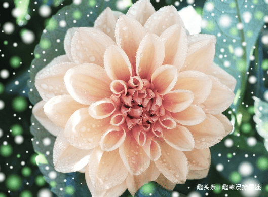 2020年下半年生肖马_好运来到,在2020迎接最后好运的4生肖!