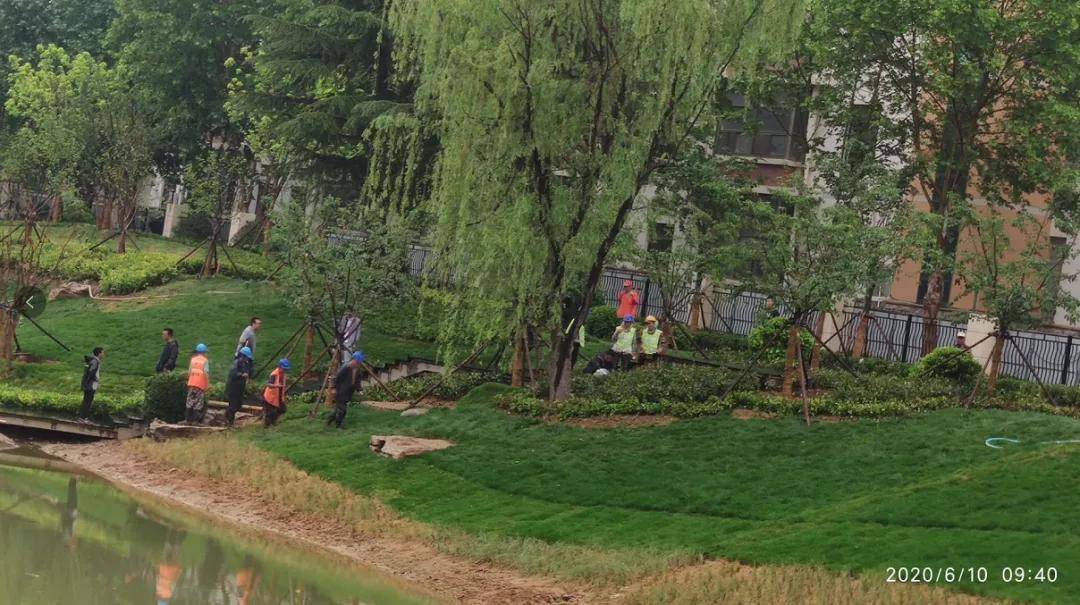 2020青岛城阳十大技_2020十大实事最新进展:城阳五水绕城项目进