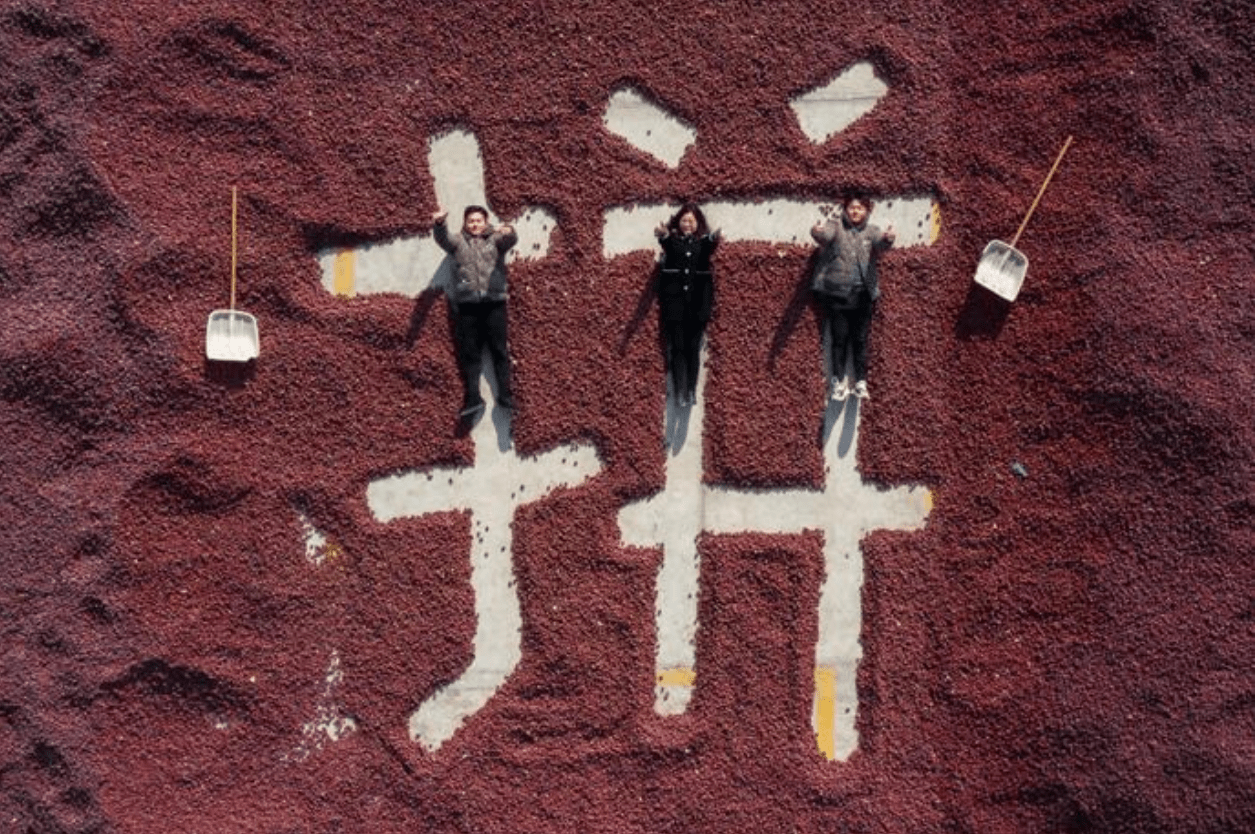 一匹马五个兵能猜哪两个成语_猜五个成语图片车猫(3)