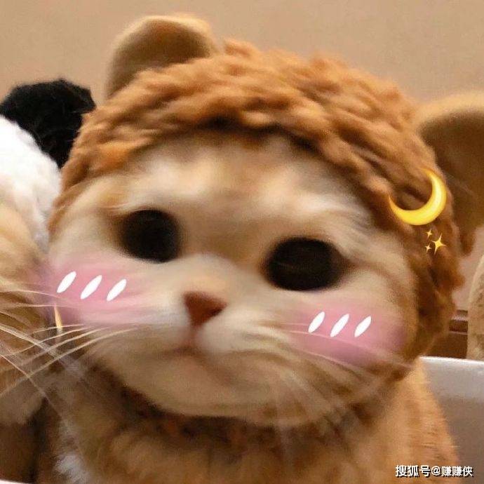 最新表情包图片:不想理你,就这?