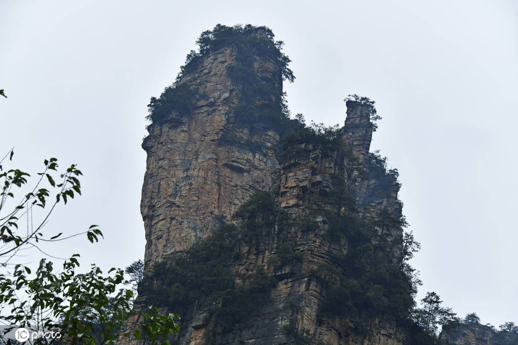 湖南张家界武陵源风景区山峰成林 风景如画