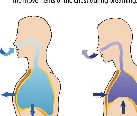 梦之寓言，牙齿松动的深层寓意与心理解析