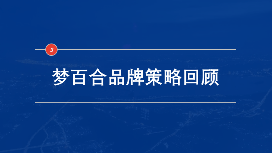 麦子禾梦百合0压床垫国内市场突围营销打法全面解码