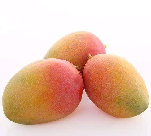 【孕妇能吃芒果吗】孕妇吃芒果好吗_孕妇可以吃芒果吗