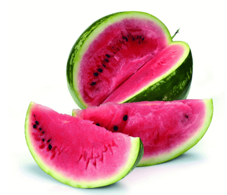 2d49a9a48ae348a4aeb0e524629fab62.png