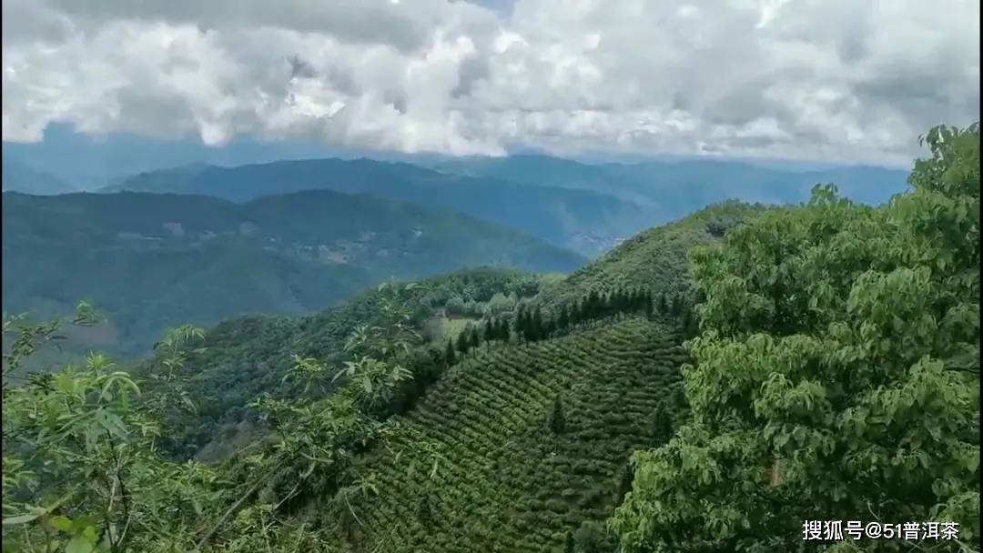 普洱茶专业品鉴 | 凤凰窝，太阳转身的地方，有你未曾感知过的普洱秘境