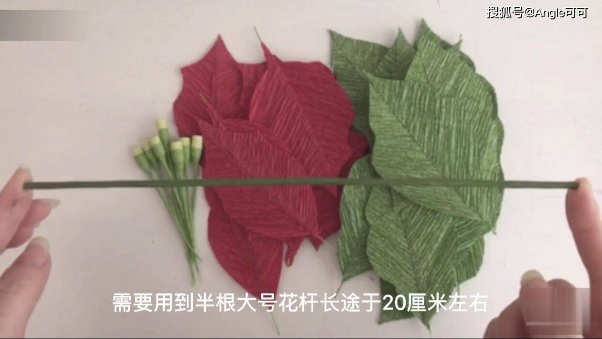 f20edf6cd9e34d9896b7e39a55a6e532.jpeg