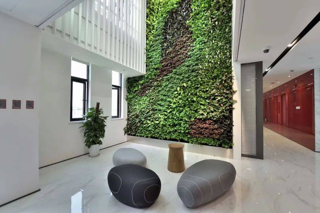 利用绿植墙装饰办公室,让整个空间美上天!