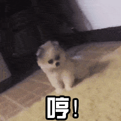e352a4c2622b4e5e8847fd9bf61244f9.gif