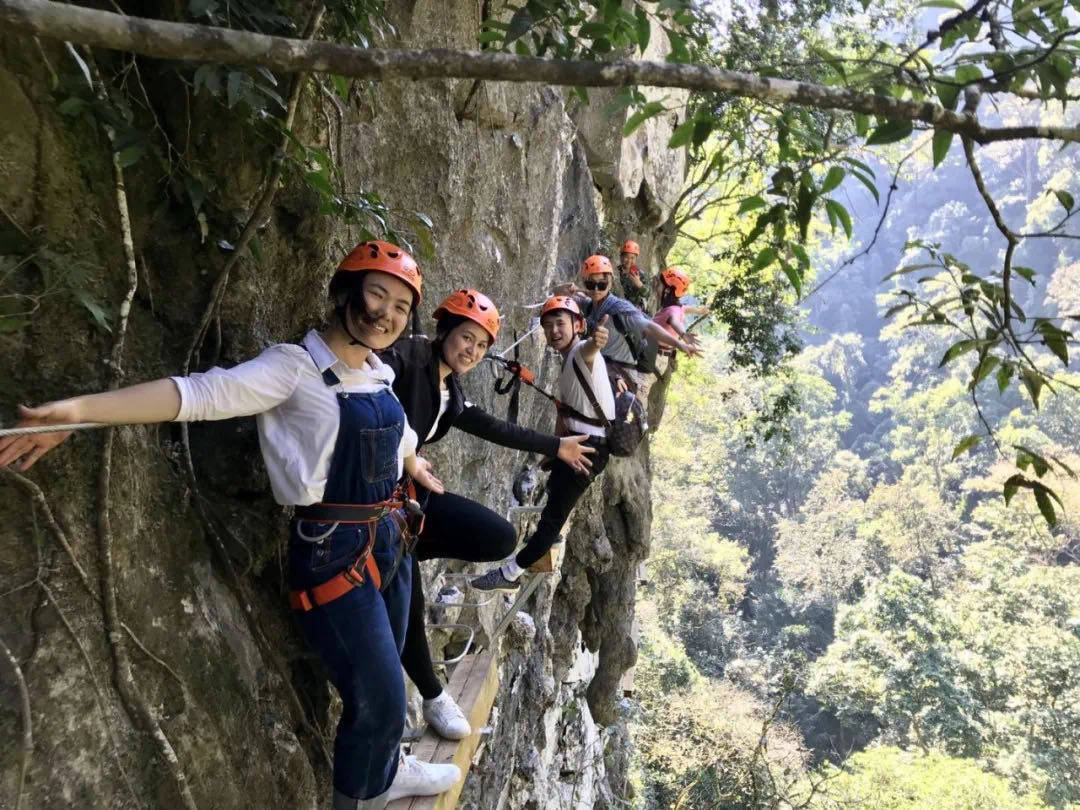 保护洞穴与保护雨林同样重要，不然这些黑暗精灵都将灭绝