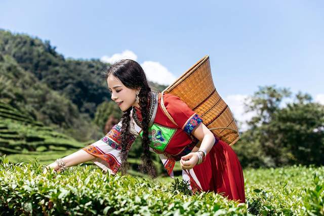 原创湖北土家族美女唱新歌茶山小幺妹听歌如品茗让人上瘾