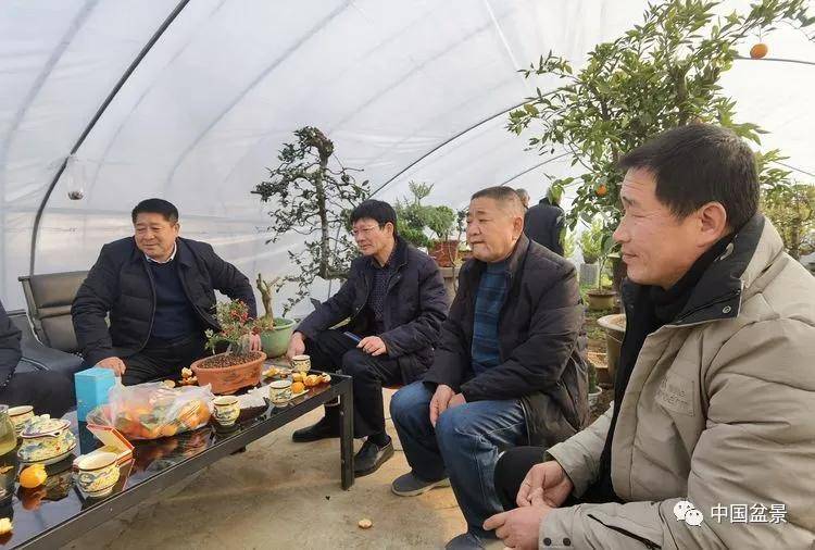 商丘盆景知名人士李文寅(右一,陈爱华(右二,乔明志(右三)在观摩学习