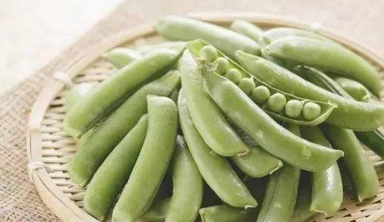 豇豆,扁豆,荷兰豆,四季豆.这么强大的豆角家族,你分