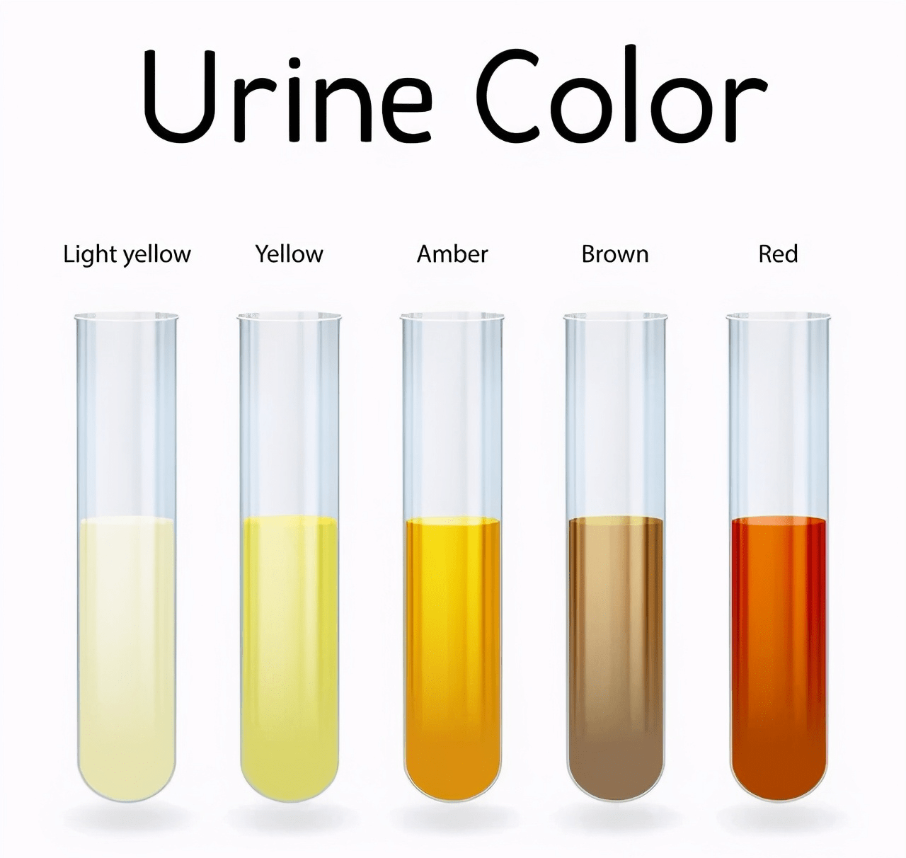 尿液顏色 | HEALTH GENE LIMITED